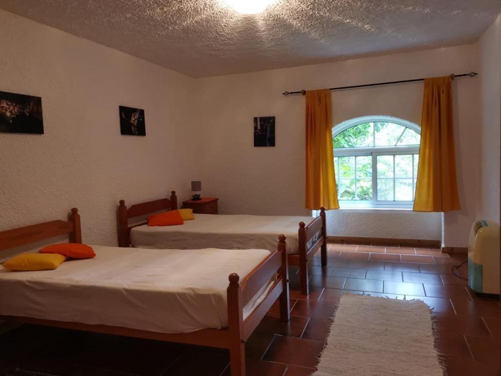 Casa Do Pedro E Da Marina Guest House Lomba  Екстериор снимка