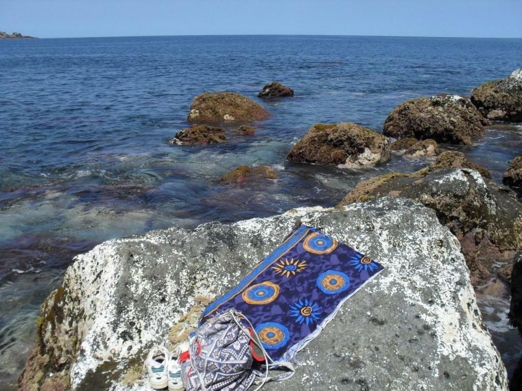 Casa Do Pedro E Da Marina Guest House Lomba  Екстериор снимка